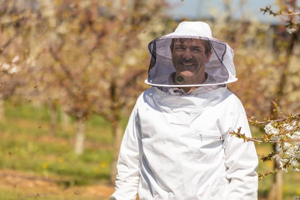 beekeeper