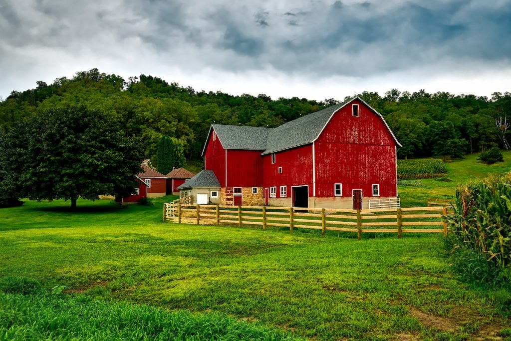 barn and farm